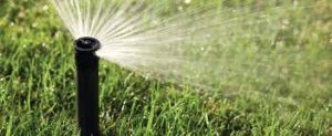 Sistema de irrigação automatizado e suas vantagens