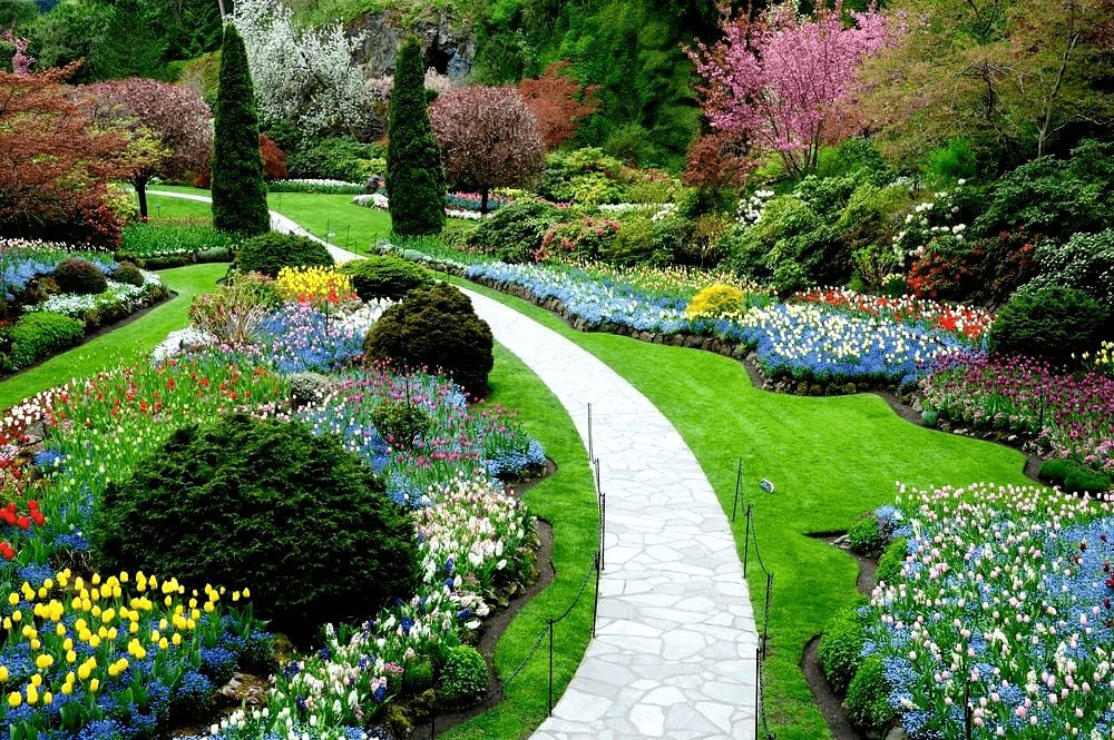 Conheça algumas dicas para deixar o seu jardim mais bonito